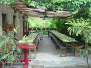 Il Caldetino Restaurant Pizzeria Florentine Hills